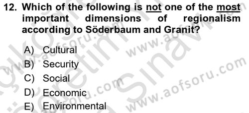 International Politics Dersi 2025 - 2026 Yılı (Vize) Ara Sınav Soruları 12. Soru