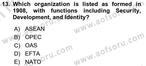 International Politics Dersi 2025 - 2026 Yılı (Vize) Ara Sınav Soruları 13. Soru