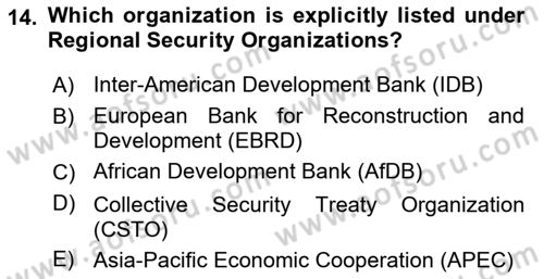 International Politics Dersi 2025 - 2026 Yılı (Vize) Ara Sınav Soruları 14. Soru