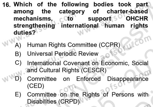 International Politics Dersi 2025 - 2026 Yılı (Vize) Ara Sınav Soruları 16. Soru