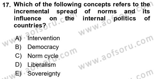 International Politics Dersi 2025 - 2026 Yılı (Vize) Ara Sınav Soruları 17. Soru
