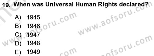 International Politics Dersi 2025 - 2026 Yılı (Vize) Ara Sınav Soruları 19. Soru