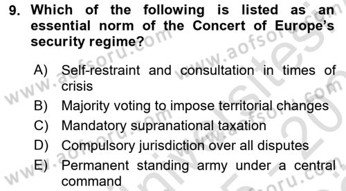 International Politics Dersi 2025 - 2026 Yılı (Vize) Ara Sınav Soruları 9. Soru