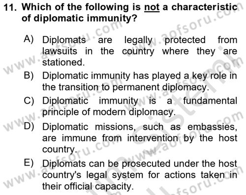 Diplomacy Dersi 2024 - 2025 Yılı (Vize) Ara Sınav Soruları 11. Soru