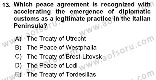 Diplomacy Dersi 2024 - 2025 Yılı (Vize) Ara Sınav Soruları 13. Soru