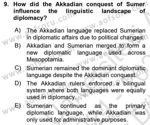 Diplomacy Dersi 2024 - 2025 Yılı (Vize) Ara Sınav Soruları 9. Soru