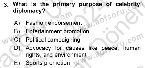 Diplomacy Dersi 2024 - 2025 Yılı (Final) Dönem Sonu Sınav Soruları 3. Soru