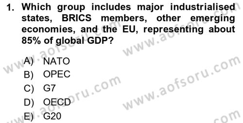 Diplomacy Dersi 2025 - 2026 Yılı (Vize) Ara Sınav Soruları 1. Soru