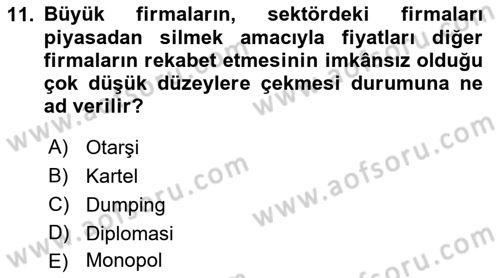 Uluslararası Politika 1 Dersi 2018 - 2019 Yılı (Final) Dönem Sonu Sınavı 11. Soru