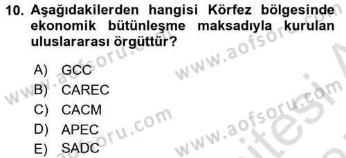 Uluslararası Politika 1 Dersi 2024 - 2025 Yılı (Vize) Ara Sınav Soruları 10. Soru