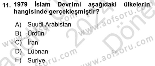 Uluslararası Politika 1 Dersi 2024 - 2025 Yılı (Final) Dönem Sonu Sınav Soruları 11. Soru