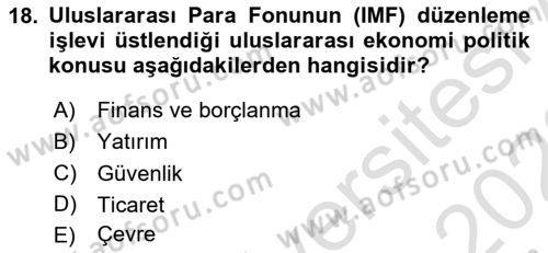 Uluslararası Politika 2 Dersi 2021 - 2022 Yılı (Vize) Ara Sınav Soruları 18. Soru