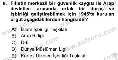 Uluslararası Politika 2 Dersi 2024 - 2025 Yılı (Final) Dönem Sonu Sınav Soruları 9. Soru