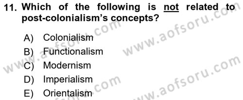 Theories Of International Relations 2 Dersi 2018 - 2019 Yılı Yaz Okulu Sınav Soruları 11. Soru