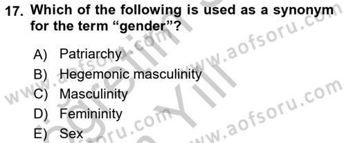 Theories Of International Relations 2 Dersi 2018 - 2019 Yılı Yaz Okulu Sınav Soruları 17. Soru