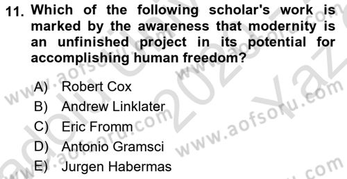 Theories Of International Relations 2 Dersi 2020 - 2021 Yılı Yaz Okulu Sınav Soruları 11. Soru