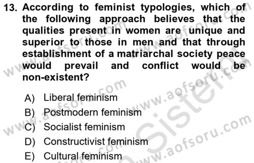 Theories Of International Relations 2 Dersi 2021 - 2022 Yılı (Final) Dönem Sonu Sınav Soruları 13. Soru