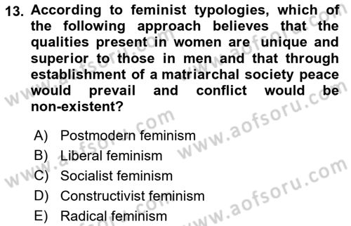 Theories Of International Relations 2 Dersi 2021 - 2022 Yılı Yaz Okulu Sınav Soruları 13. Soru