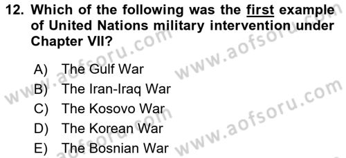 International Organization And Global Governance Dersi 2020 - 2021 Yılı Yaz Okulu Sınav Soruları 12. Soru