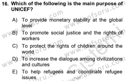 International Organization And Global Governance Dersi 2020 - 2021 Yılı Yaz Okulu Sınav Soruları 16. Soru