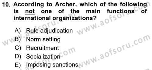 International Organization And Global Governance Dersi 2021 - 2022 Yılı (Vize) Ara Sınav Soruları 10. Soru