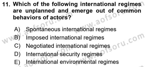 International Organization And Global Governance Dersi 2021 - 2022 Yılı (Vize) Ara Sınav Soruları 11. Soru