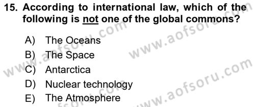 International Organization And Global Governance Dersi 2021 - 2022 Yılı (Vize) Ara Sınav Soruları 15. Soru