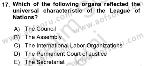 International Organization And Global Governance Dersi 2021 - 2022 Yılı (Vize) Ara Sınav Soruları 17. Soru