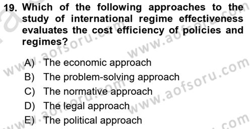 International Organization And Global Governance Dersi 2021 - 2022 Yılı (Vize) Ara Sınav Soruları 19. Soru