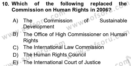 International Organization And Global Governance Dersi 2021 - 2022 Yılı (Final) Dönem Sonu Sınav Soruları 10. Soru