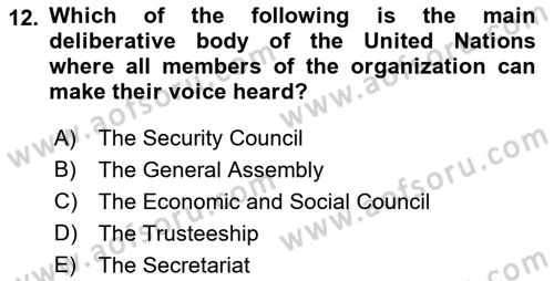 International Organization And Global Governance Dersi 2021 - 2022 Yılı (Final) Dönem Sonu Sınav Soruları 12. Soru