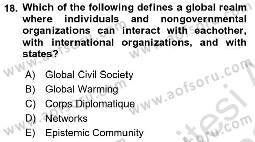 International Organization And Global Governance Dersi 2021 - 2022 Yılı (Final) Dönem Sonu Sınav Soruları 18. Soru