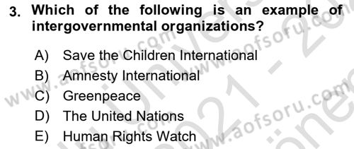 International Organization And Global Governance Dersi 2021 - 2022 Yılı (Final) Dönem Sonu Sınav Soruları 3. Soru