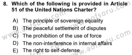 International Organization And Global Governance Dersi 2021 - 2022 Yılı (Final) Dönem Sonu Sınav Soruları 8. Soru