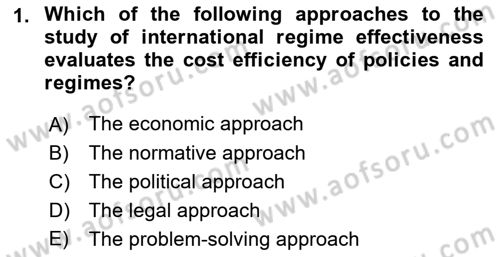 International Organization And Global Governance Dersi 2021 - 2022 Yılı Yaz Okulu Sınav Soruları 1. Soru