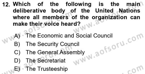 International Organization And Global Governance Dersi 2021 - 2022 Yılı Yaz Okulu Sınav Soruları 12. Soru