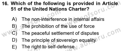 International Organization And Global Governance Dersi 2021 - 2022 Yılı Yaz Okulu Sınav Soruları 16. Soru