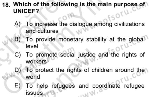 International Organization And Global Governance Dersi 2021 - 2022 Yılı Yaz Okulu Sınav Soruları 18. Soru