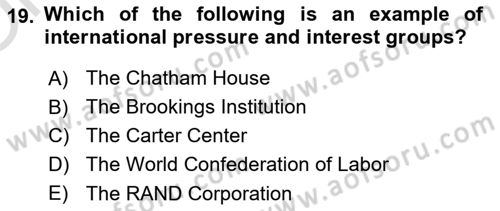International Organization And Global Governance Dersi 2021 - 2022 Yılı Yaz Okulu Sınav Soruları 19. Soru