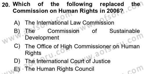International Organization And Global Governance Dersi 2021 - 2022 Yılı Yaz Okulu Sınav Soruları 20. Soru