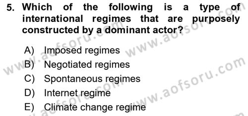 International Organization And Global Governance Dersi 2021 - 2022 Yılı Yaz Okulu Sınav Soruları 5. Soru