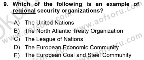 International Organization And Global Governance Dersi 2021 - 2022 Yılı Yaz Okulu Sınav Soruları 9. Soru