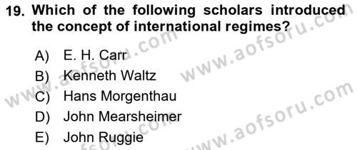 International Organization And Global Governance Dersi 2022 - 2023 Yılı (Vize) Ara Sınav Soruları 19. Soru