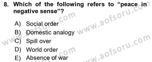International Organization And Global Governance Dersi 2022 - 2023 Yılı (Vize) Ara Sınav Soruları 8. Soru