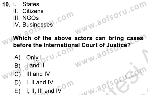 International Organization And Global Governance Dersi 2022 - 2023 Yılı (Final) Dönem Sonu Sınav Soruları 10. Soru