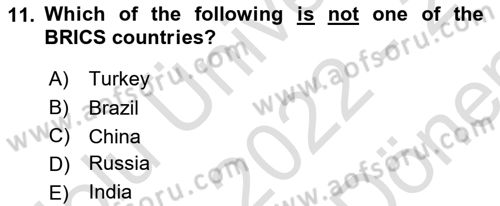 International Organization And Global Governance Dersi 2022 - 2023 Yılı (Final) Dönem Sonu Sınav Soruları 11. Soru