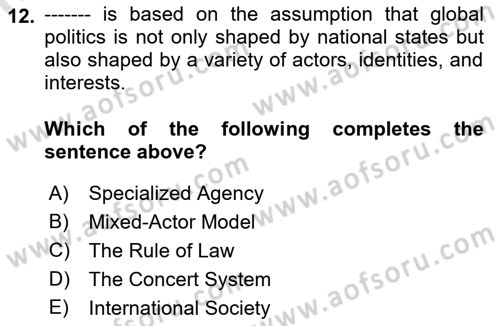 International Organization And Global Governance Dersi 2022 - 2023 Yılı (Final) Dönem Sonu Sınav Soruları 12. Soru