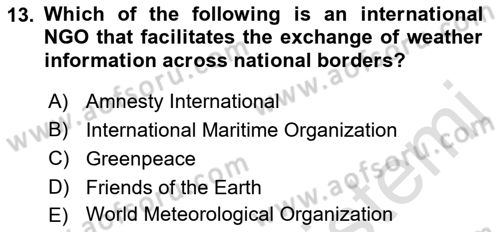 International Organization And Global Governance Dersi 2022 - 2023 Yılı (Final) Dönem Sonu Sınav Soruları 13. Soru