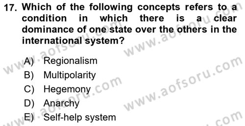 International Organization And Global Governance Dersi 2022 - 2023 Yılı (Final) Dönem Sonu Sınav Soruları 17. Soru