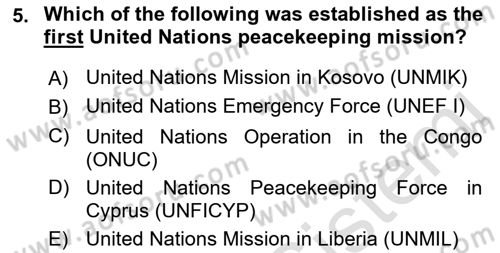International Organization And Global Governance Dersi 2022 - 2023 Yılı (Final) Dönem Sonu Sınav Soruları 5. Soru